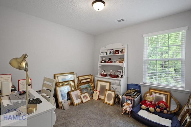 11 Herty Ln, Hinesville, GA 31313 - photo 24
