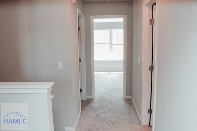 206 Brightleaf Cir, Hinesville, GA 31313 - photo 13