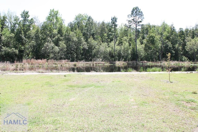 206 Brightleaf Cir, Hinesville, GA 31313 - photo 19