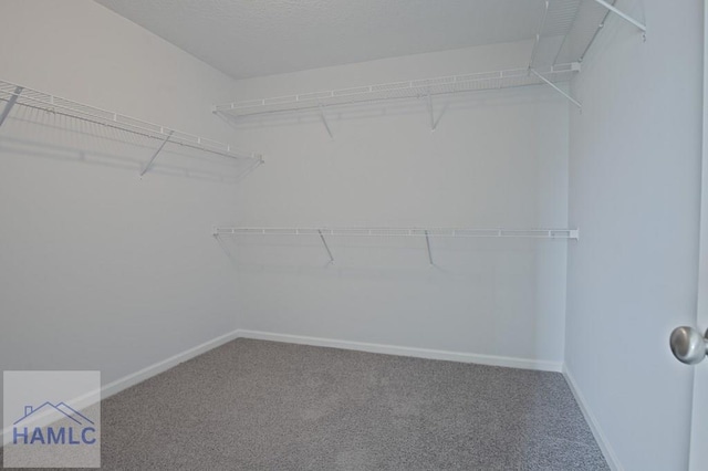 78 Daylily Ct, Hinesville, GA 31313 - photo 29
