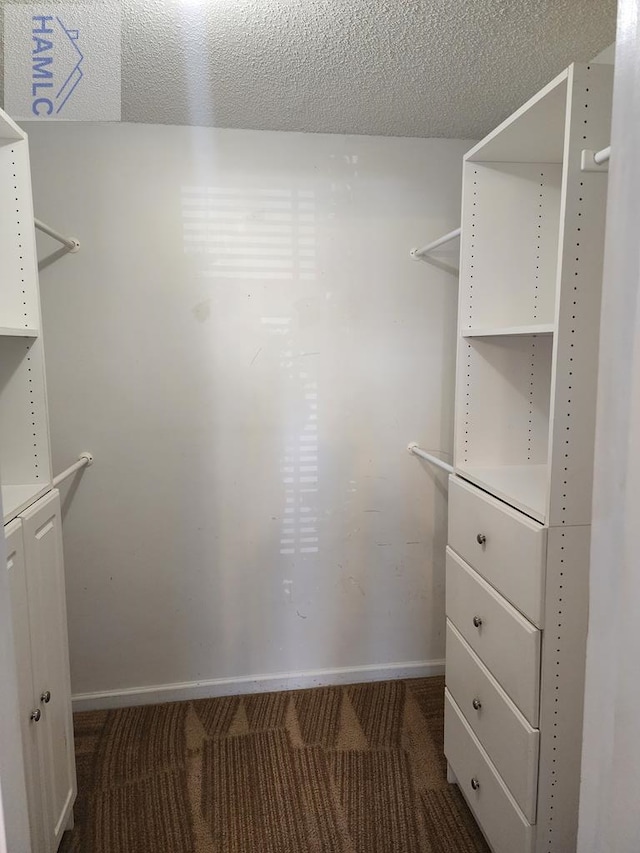 1302 Loblolly Dr, Hinesville, GA 31313 - spacious closet featuring carpet