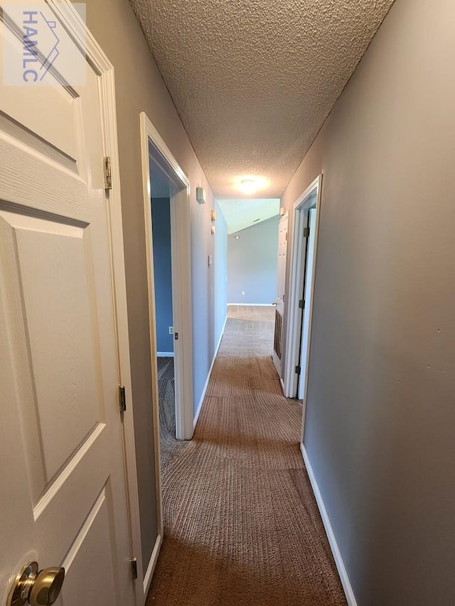 1302 Loblolly Dr, Hinesville, GA 31313 - hallway with carpet and a textured ceiling