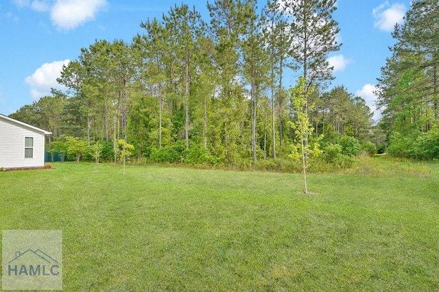 1365 Waybridge Way, Richmond Hill, GA 31324 - photo 21