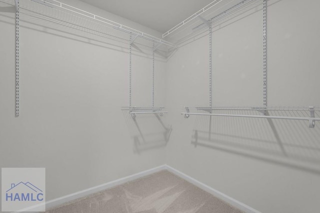 1365 Waybridge Way, Richmond Hill, GA 31324 - photo 12