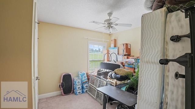 236 Hayden Ln, Jesup, GA 31545 - photo 35