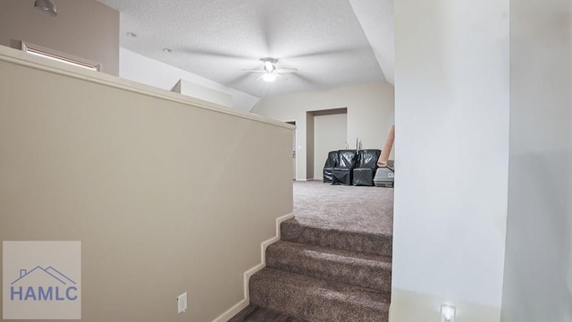236 Hayden Ln, Jesup, GA 31545 - photo 45