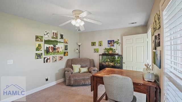 236 Hayden Ln, Jesup, GA 31545 - photo 32
