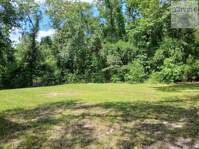 304 Mt Pleasant Rd, Claxton, GA 30417 - photo 15