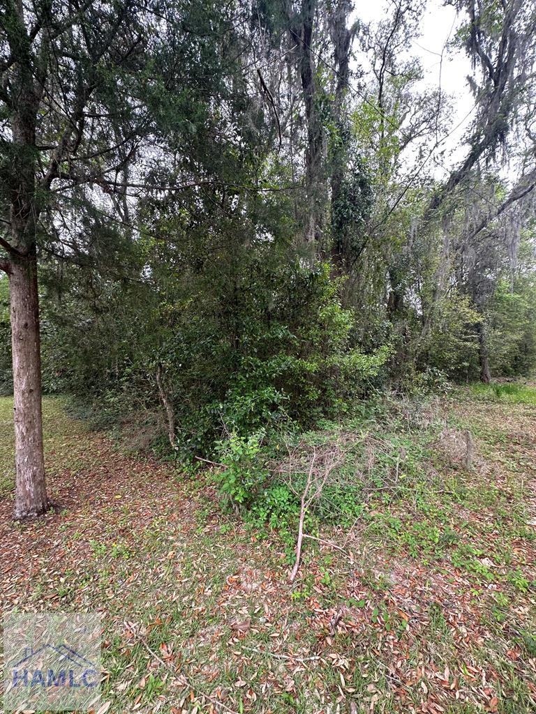 LOT3 Gamble St, Ludowici, GA 31316 - photo 1