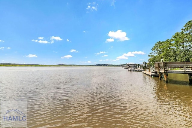 220 Marshview Dr, Richmond Hill, GA 31324 - photo 85