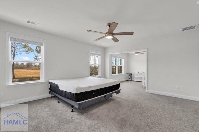 268 Loblolly Ln, Richmond Hill, GA 31324 - photo 44
