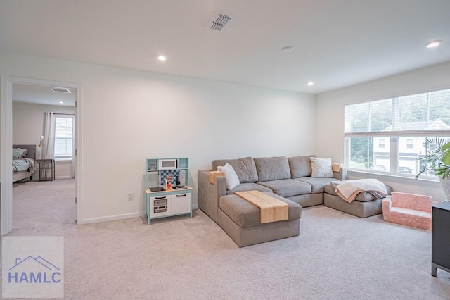 22 Wellstone Way, Richmond Hill, GA 31324 - photo 51