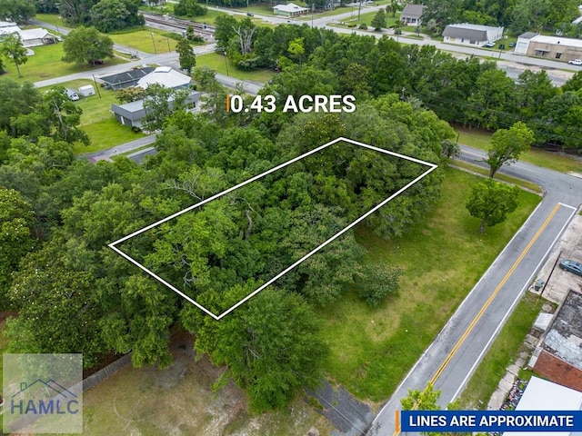 229 Broad St, Jesup, GA 31545 - aerial overview of property's location with property boundaries highlighted