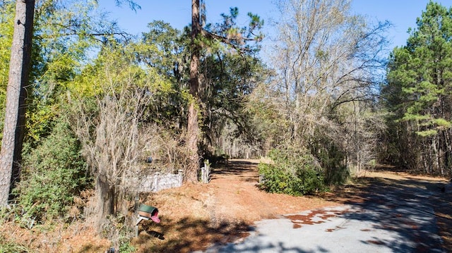 500 Old Savannah Rd, Hinesville, GA 31313 - photo 6
