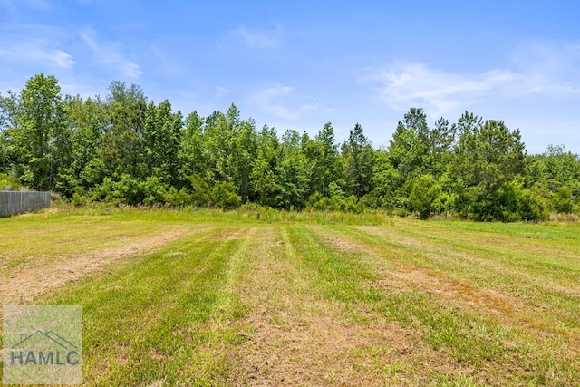 270 Summer Hill Dr, Ludowici, GA 31316 - photo 28
