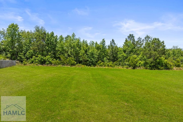 270 Summer Hill Dr, Ludowici, GA 31316 - photo 27
