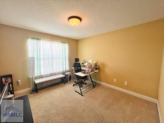 40 Red Blossom Ct, Allenhurst, GA 31301 - photo 34