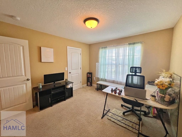 40 Red Blossom Ct, Allenhurst, GA 31301 - photo 35