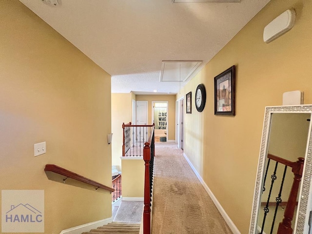 40 Red Blossom Ct, Allenhurst, GA 31301 - photo 36