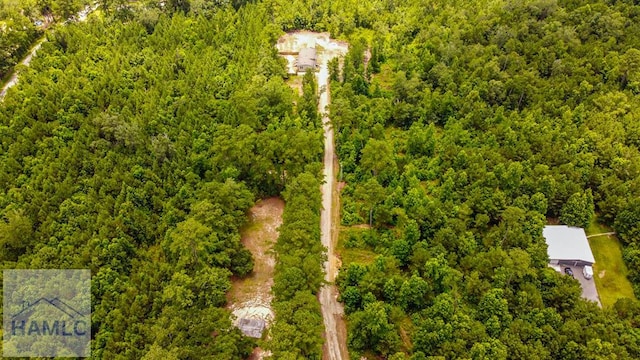 719 Limerick Rd, Midway, GA 31320 - photo 29