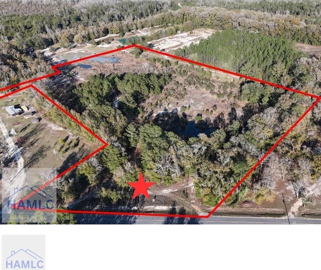 18583 Raybon Rd E, Nahunta, GA 31553 - photo 1