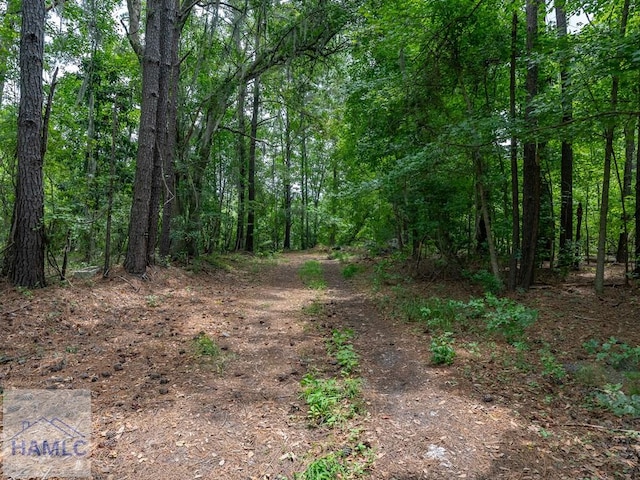 302 Old Pine Barren Rd, Pooler, GA 31322 - photo 12