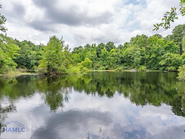 302 Old Pine Barren Rd, Pooler, GA 31322 - photo 13