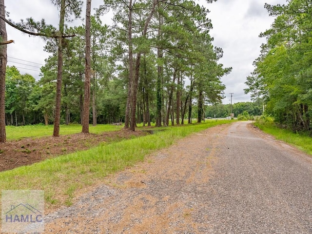 302 Old Pine Barren Rd, Pooler, GA 31322 - photo 10