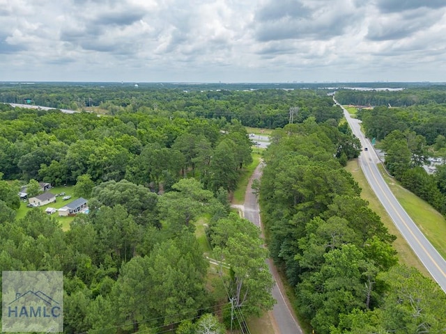 302 Old Pine Barren Rd, Pooler, GA 31322 - photo 9