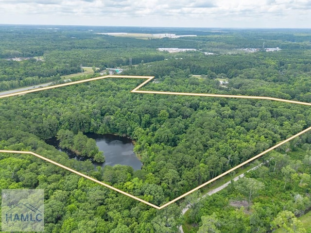 302 Old Pine Barren Rd, Pooler, GA 31322 - photo 8