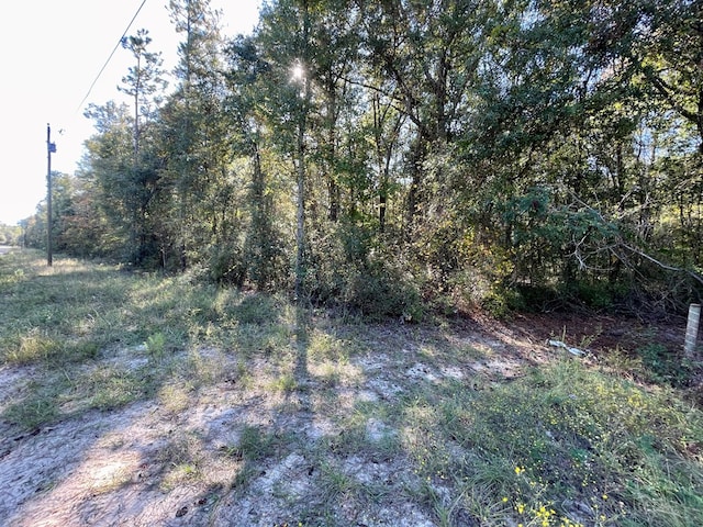 0 Rayonier Rd, Jesup, GA 31545 - photo 9