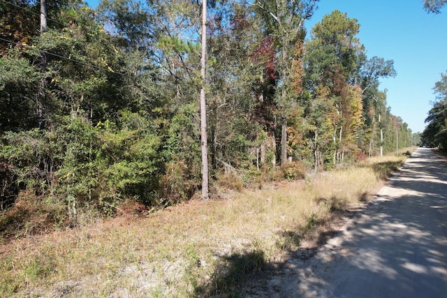 0 Rayonier Rd, Jesup, GA 31545 - photo 11
