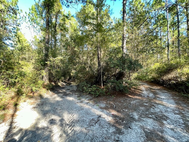 0 Rayonier Rd, Jesup, GA 31545 - photo 10