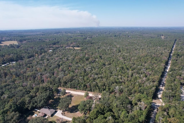 0 Rayonier Rd, Jesup, GA 31545 - photo 3