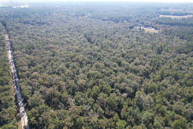 0 Rayonier Rd, Jesup, GA 31545 - photo 4
