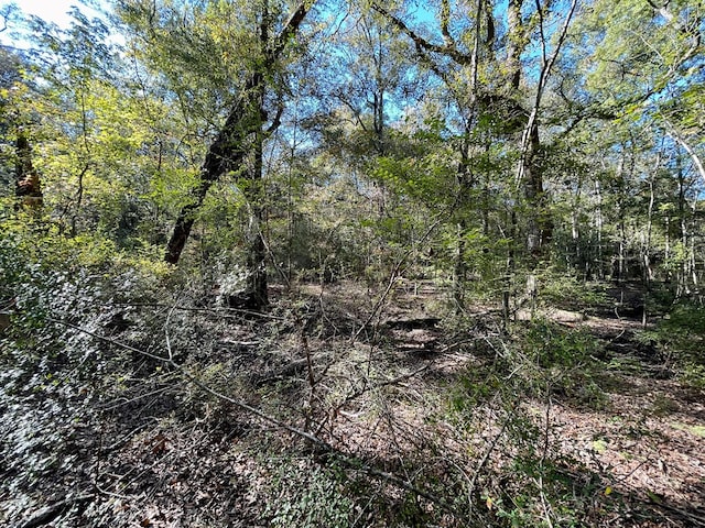 0 Rayonier Rd, Jesup, GA 31545 - photo 12