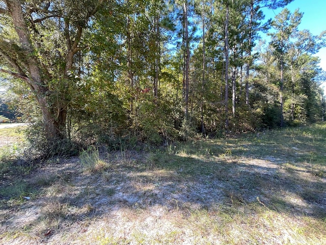 0 Rayonier Rd, Jesup, GA 31545 - photo 13