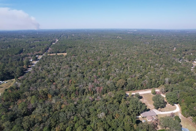 0 Rayonier Rd, Jesup, GA 31545 - photo 2