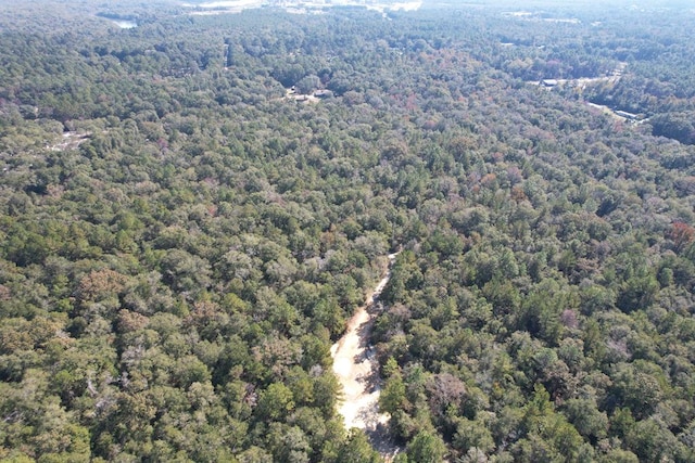 0 Rayonier Rd, Jesup, GA 31545 - photo 6