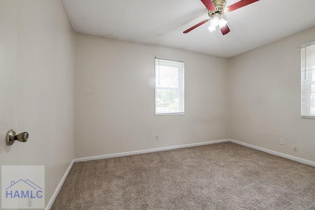 814 Kelly Dr, Hinesville, GA 31313 - photo 29
