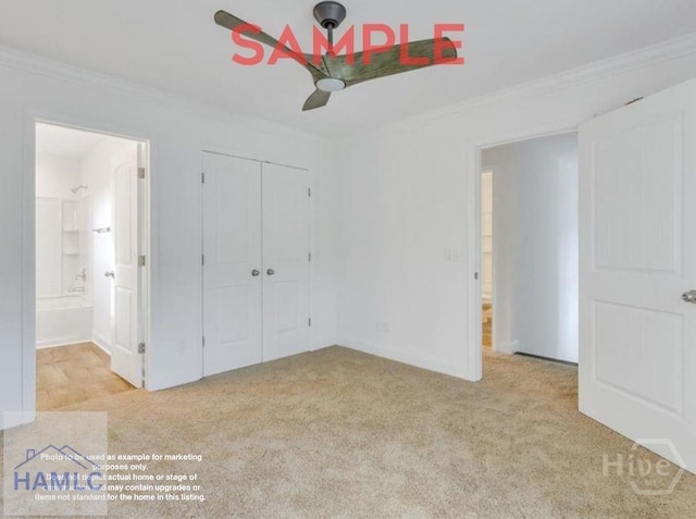 LOT1 Seminole St, Savannah, GA 31406 - photo 7