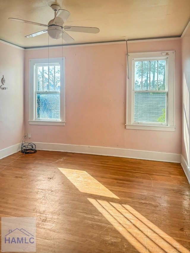 726 E 40th St, Savannah, GA 31401 - photo 14