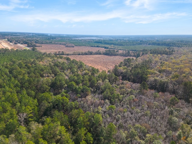 641 US Highway 80, Ellabell, GA 31308 - photo 20