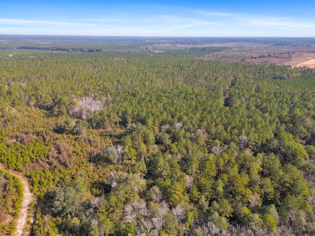 641 US Highway 80, Ellabell, GA 31308 - photo 11