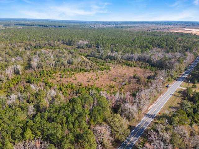 641 US Highway 80, Ellabell, GA 31308 - photo 18
