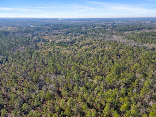 641 US Highway 80, Ellabell, GA 31308 - photo 4