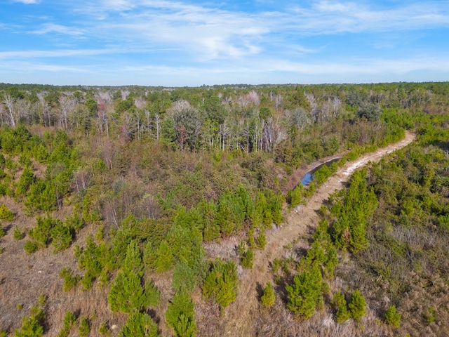 641 US Highway 80, Ellabell, GA 31308 - photo 8