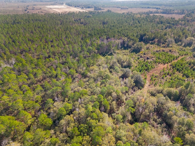 641 US Highway 80, Ellabell, GA 31308 - photo 13