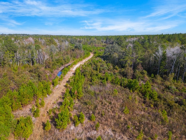 641 US Highway 80, Ellabell, GA 31308 - photo 7