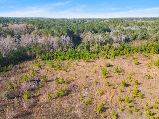 641 US Highway 80, Ellabell, GA 31308 - photo 9